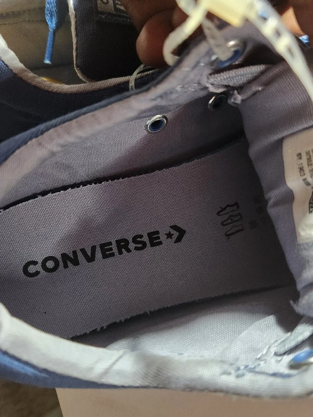 Converse All Star Low Top Sneakers in Blue and White